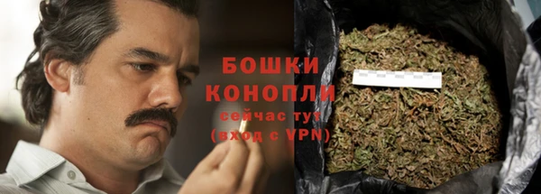 гидропоника Богданович