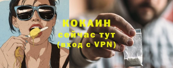 гидропоника Богданович