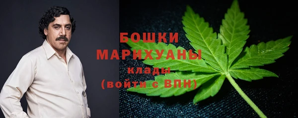 молекула духа Богородск