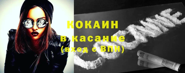 гидропоника Богданович