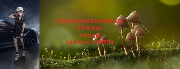 гидропоника Богданович