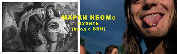 стафф Бородино