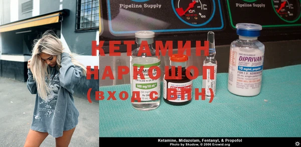 крисы Няндома