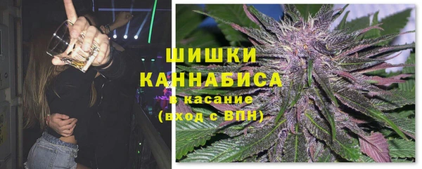 молекула духа Богородск