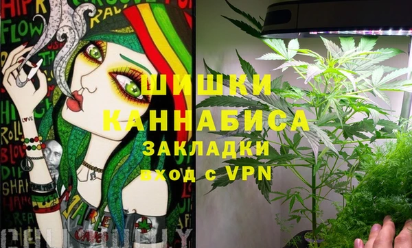 гидропоника Богданович