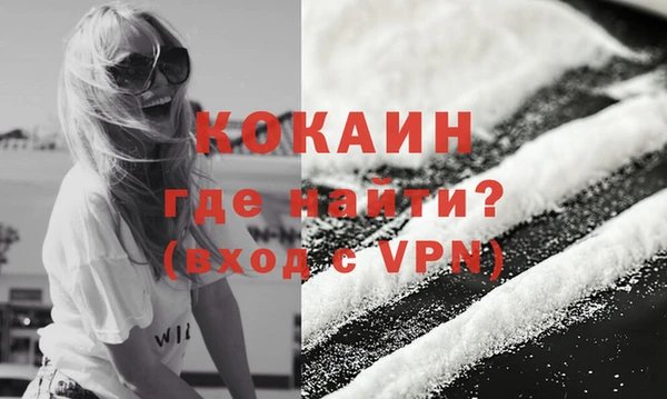 стафф Бородино