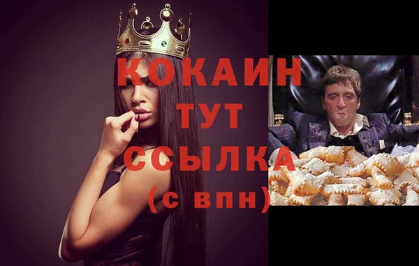 гашик Бронницы